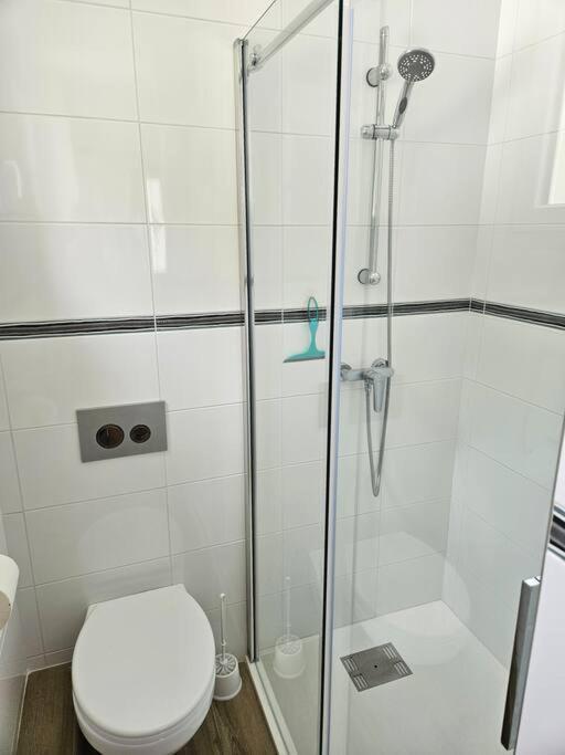 Chez Louise, Appartement T3 A Deux Pas Du Centre Bagnères-de-Luchon Eksteriør billede